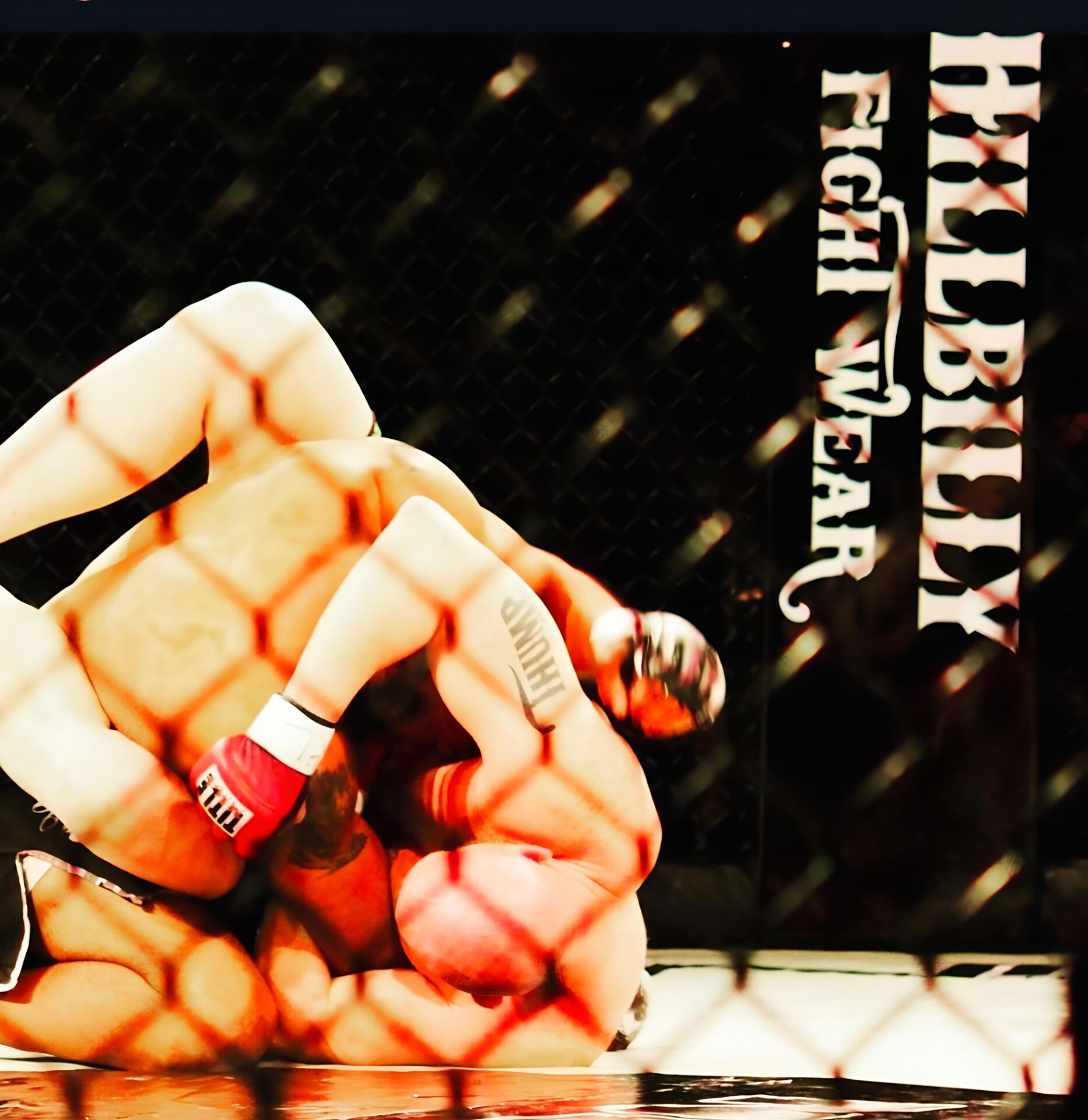 Fighter grappling in cage - Hillbilly Fightwear MMA gear